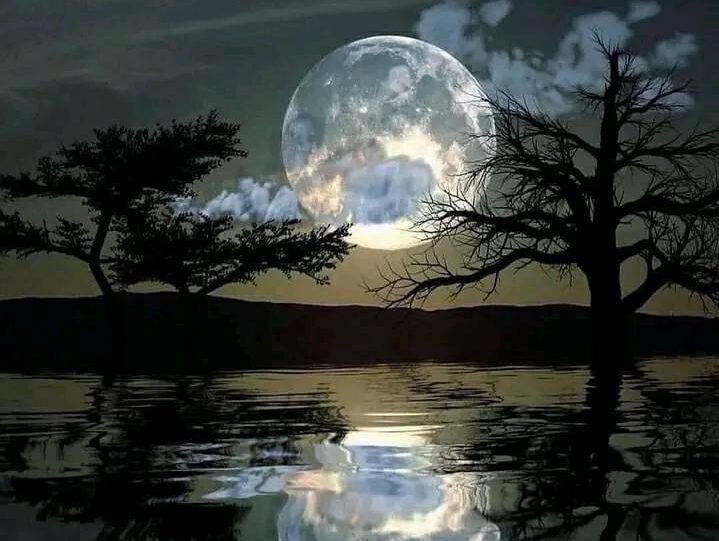 Mond spiegelt sich in Wasser